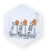 Vina Electric Corporation